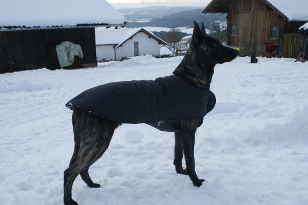 Fiby hat einen Mantel bekommen, damit sie an kalten Tagen nach dem Training im Auto nicht immer so auskühlt!!!