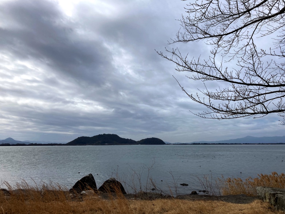 2024年2月18日「アジュガの星のコトバ」