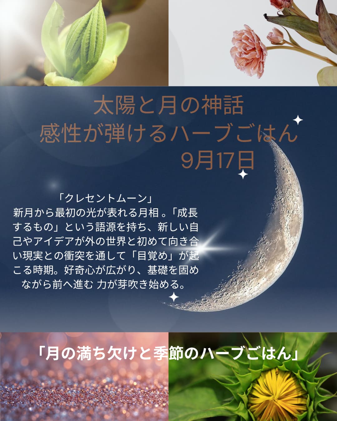 9月17日開催「月の満ち欠けと季節のハーブごはん」のご案内