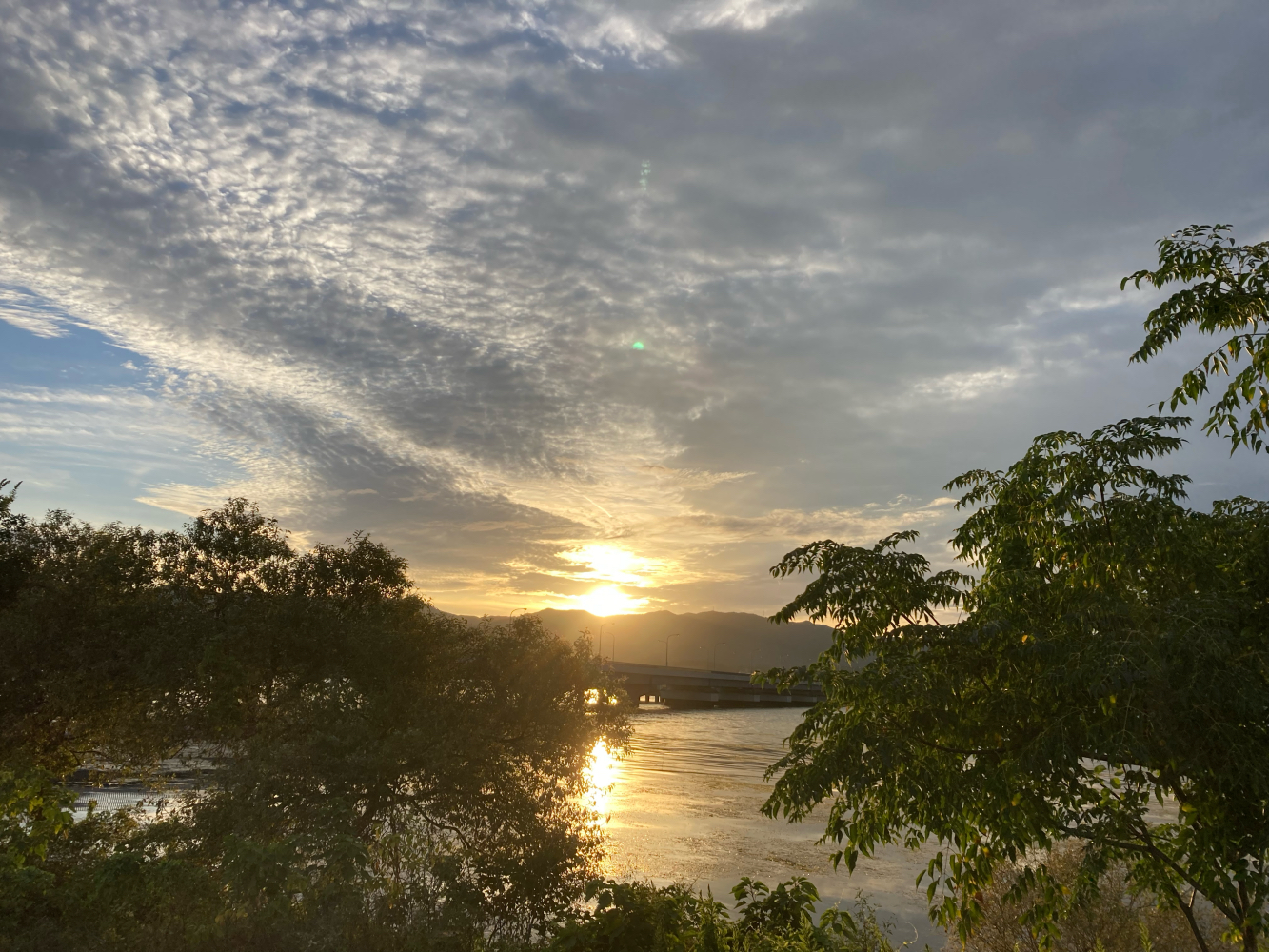 2025年9月27日「アジュガの星のコトバ」