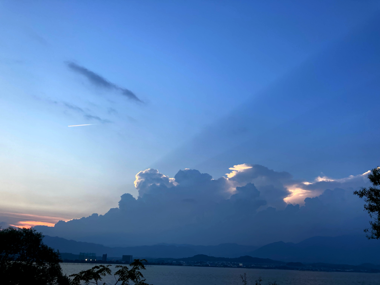 2025年9月19日「アジュガの星のコトバ」