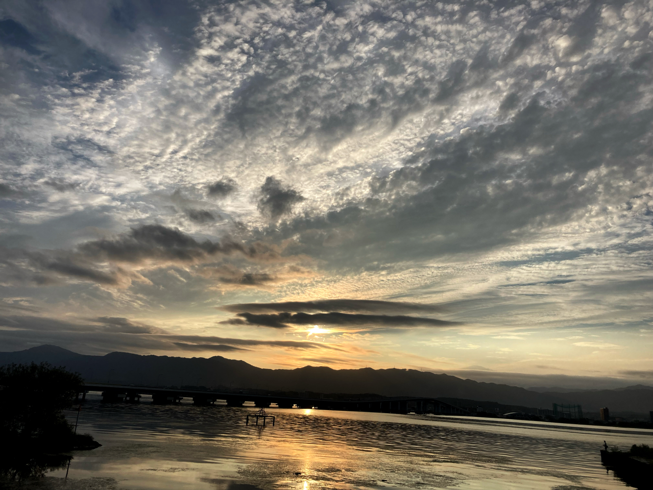 2025年9月26日「アジュガの星のコトバ」