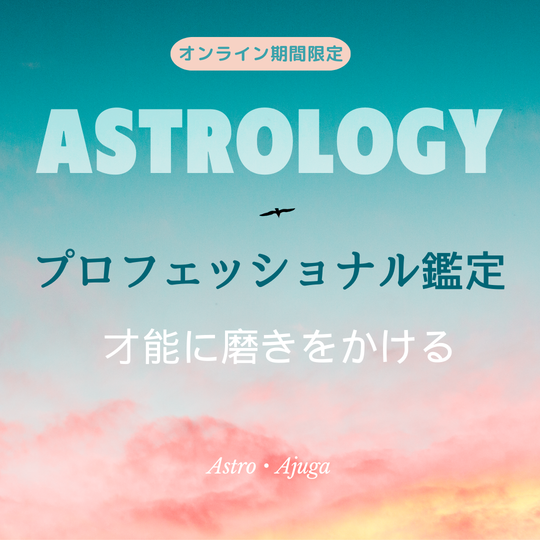期間限定「プロフェッショナル鑑定」リリース！