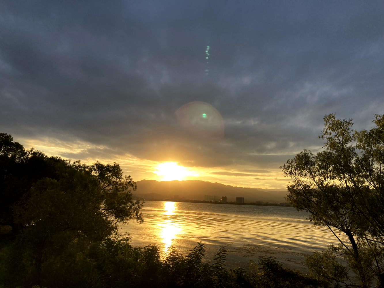 2025年9月25日「アジュガの星のコトバ」