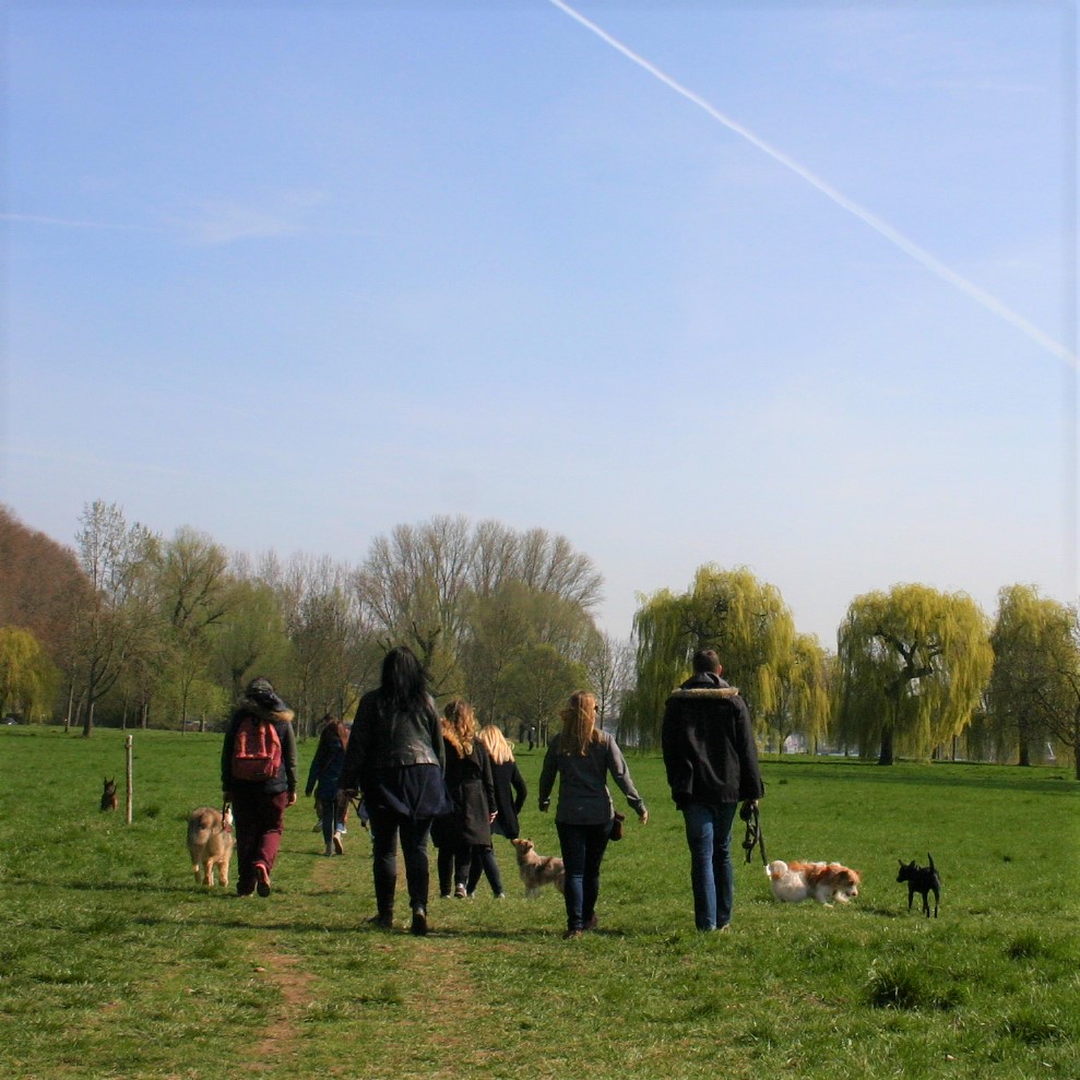 PANORAMA - Lernspaziergang