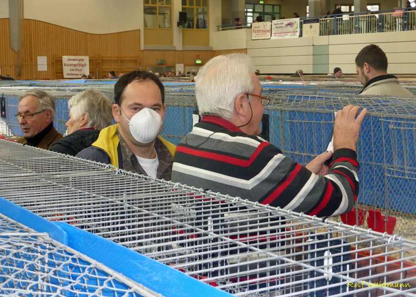 Jetzt geht es los, die Bewertungkarten werden eingepackt