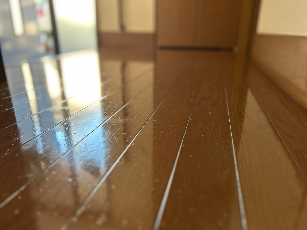 ワックスでピカピカに
