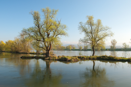 Frühling an der Donau (Foto:Baumgartner)