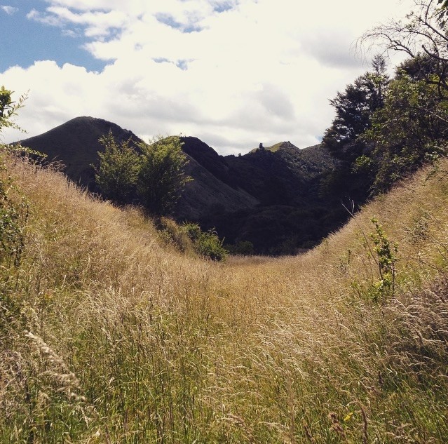 Wunderschöne Landschaft um uns 