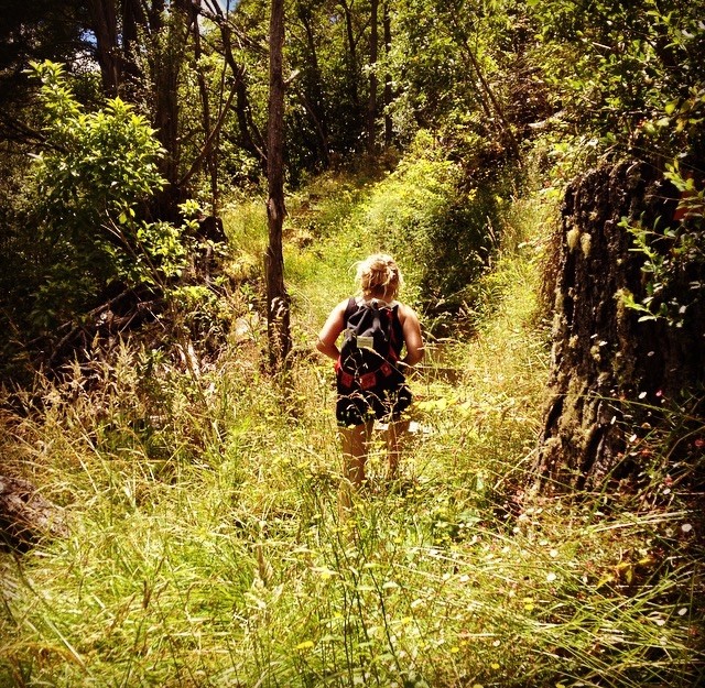 Hiking the track 