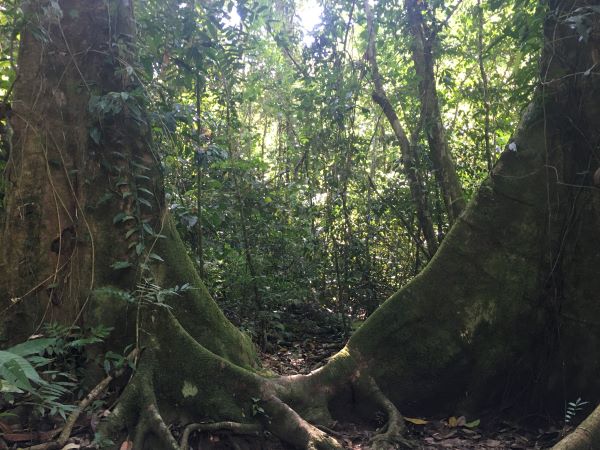 Aber Sie sind doch Psychologin!?