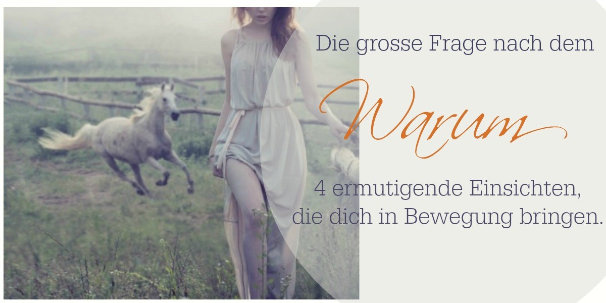 Die Frage Nach Dem Warum Sprüche www.andreahiltbrunner.com