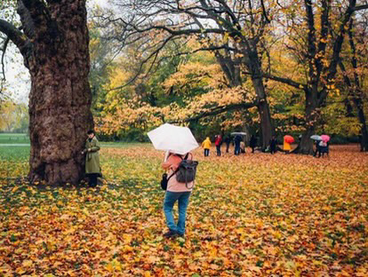 David Grigo Making of