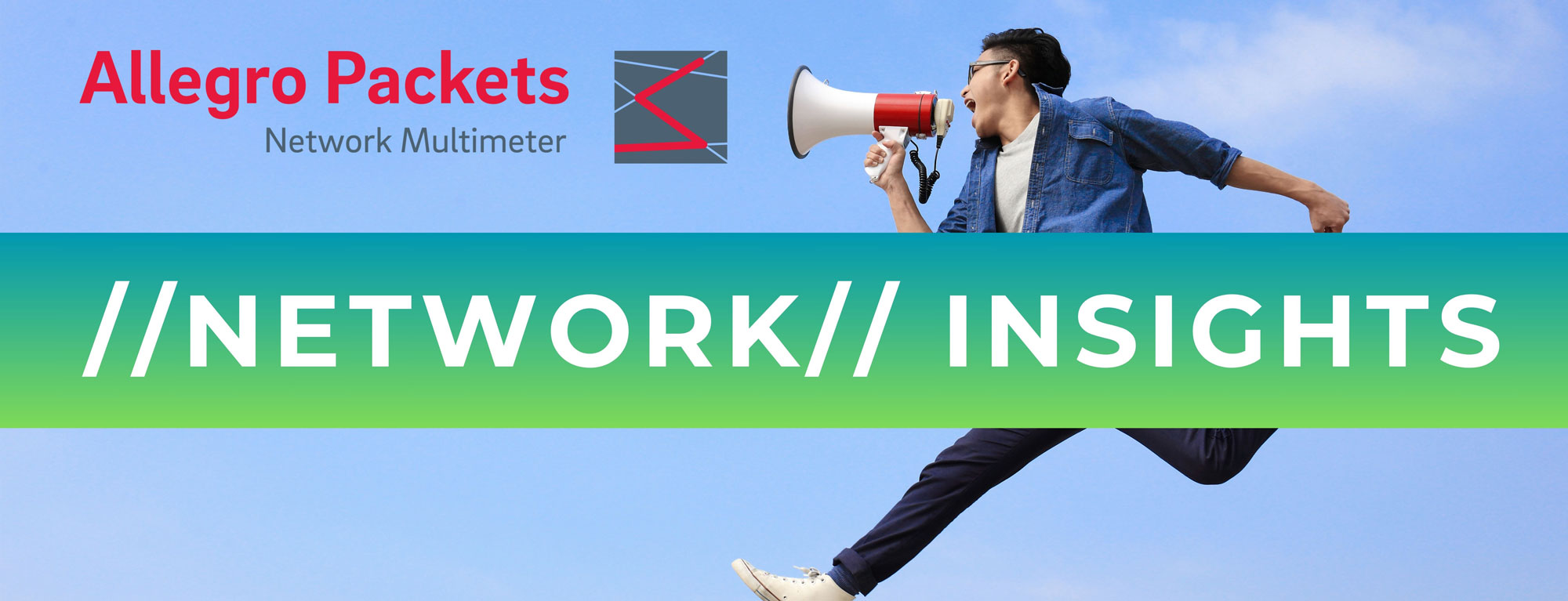 Allegro Network Multimeter Release 4.4.