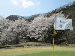 足利城ゴルフ倶楽部の桜