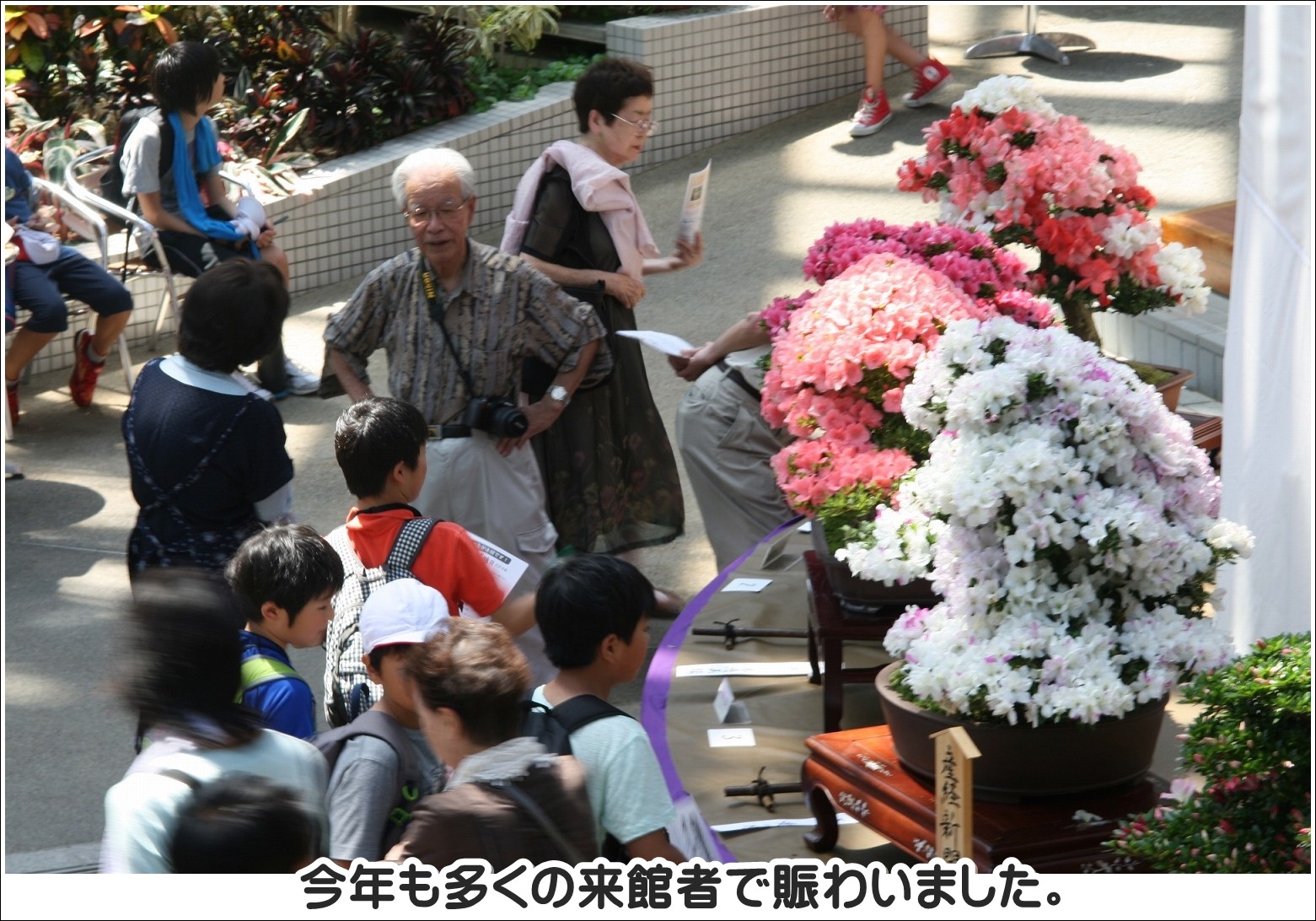 今年も多くの来館者で賑わいました。