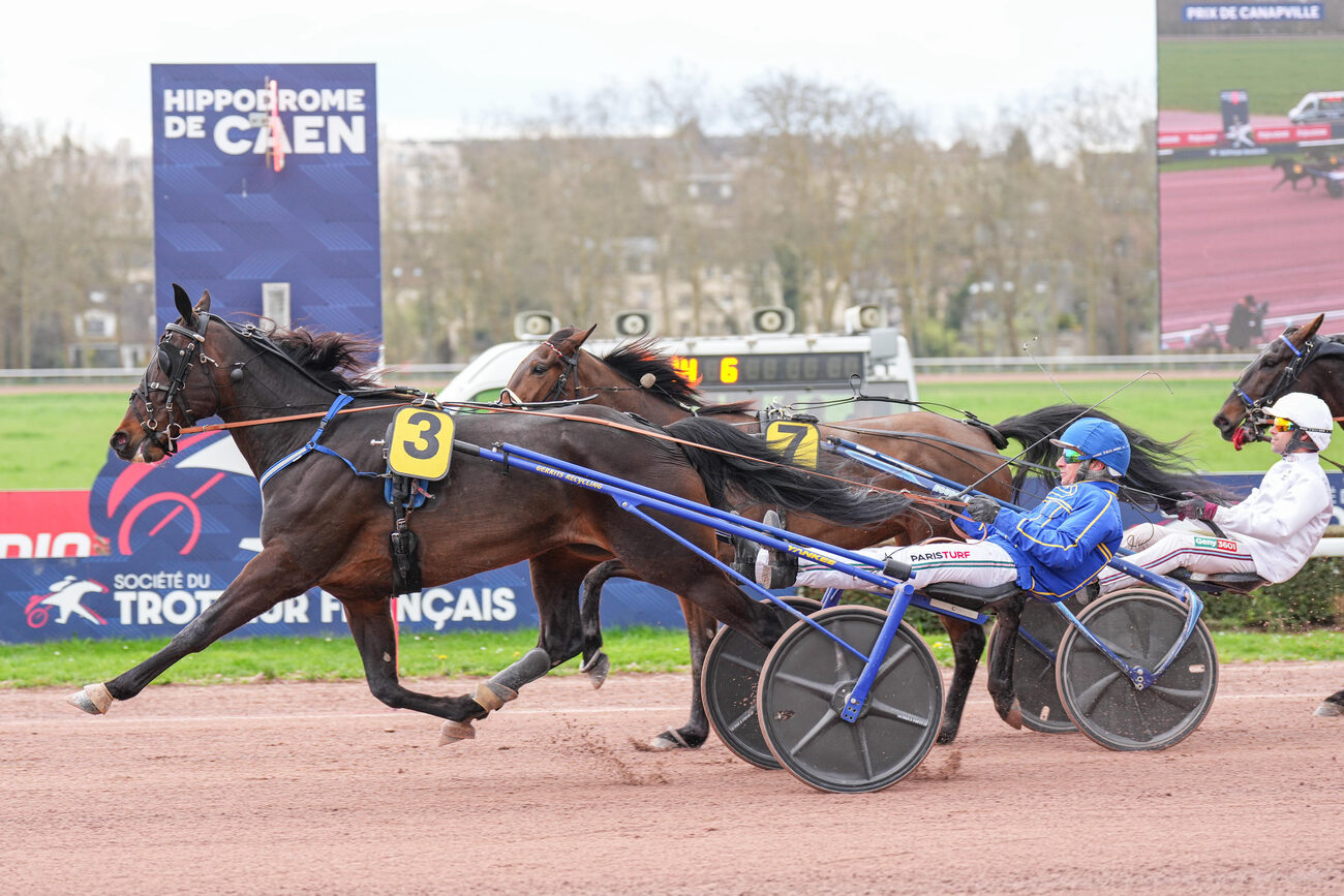 Big Point von Force of Nature in der Quinte