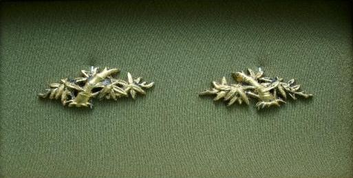 Bamboo Leafs Stalk - Brass golded Menuki : Not for Sale !