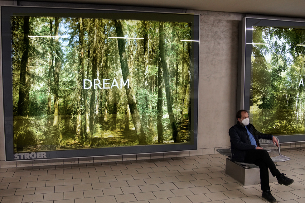 Embassy of Trees: "Forest Dream"  Ellen Bornkessel