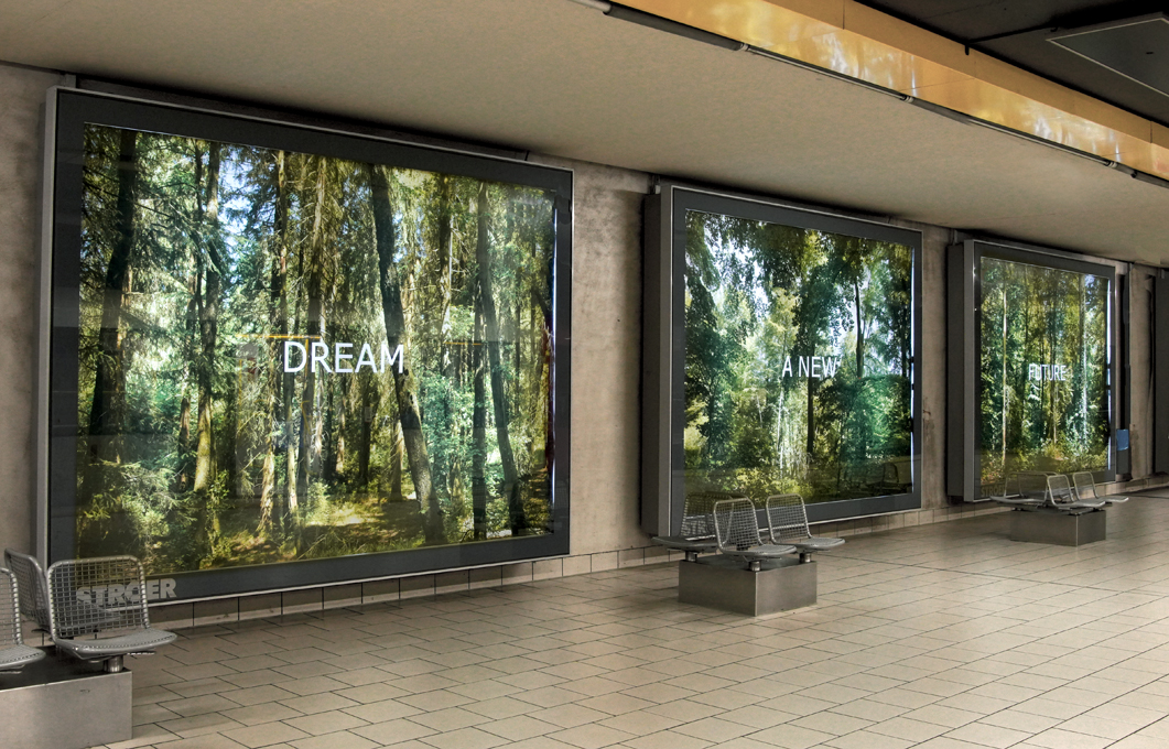 "Forest Dream" -Klimakunst, Fotoinstallation, Neumarkt, Köln von Ellen Bornkessel, Installationsfoto-Ellen Bornkessel