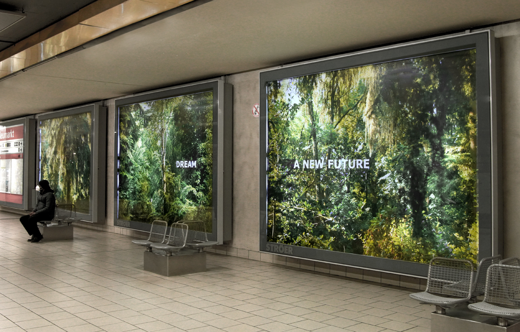 Embassy of Trees: "Forest Dream"  Ellen Bornkessel