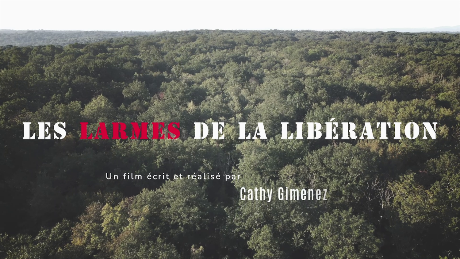 Les larmes de la Libération - Un documentaire poignant