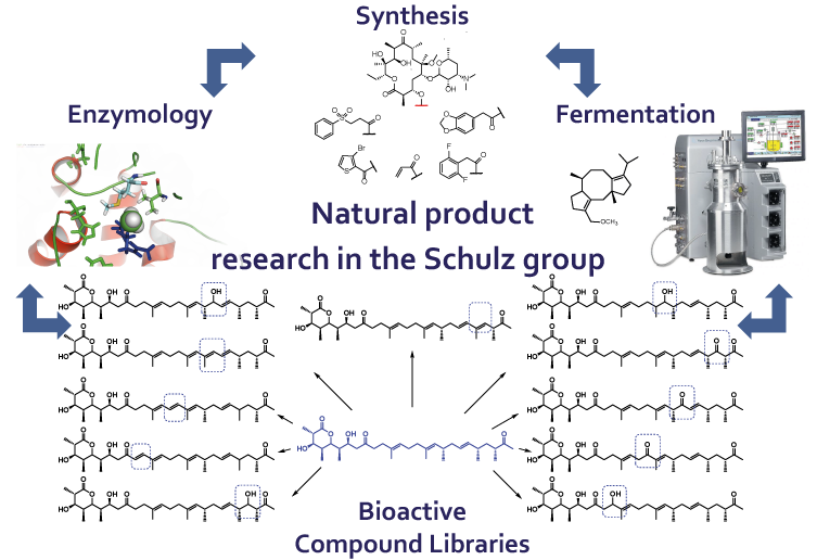 Naturstoff Forschung Natural Products Research - Schulz Laboratory Ruhr-Universität Bochum Polyketide Terpene Terpenoids