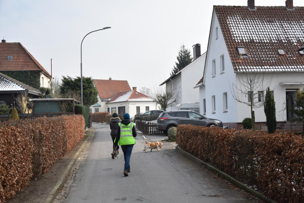 Kann er die Ablenkungen durch andere Gerüche ausblenden, sucht er klasse. 