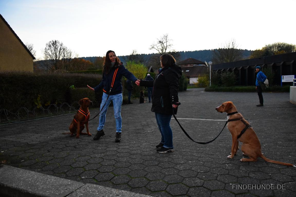 Begegnungstraining 