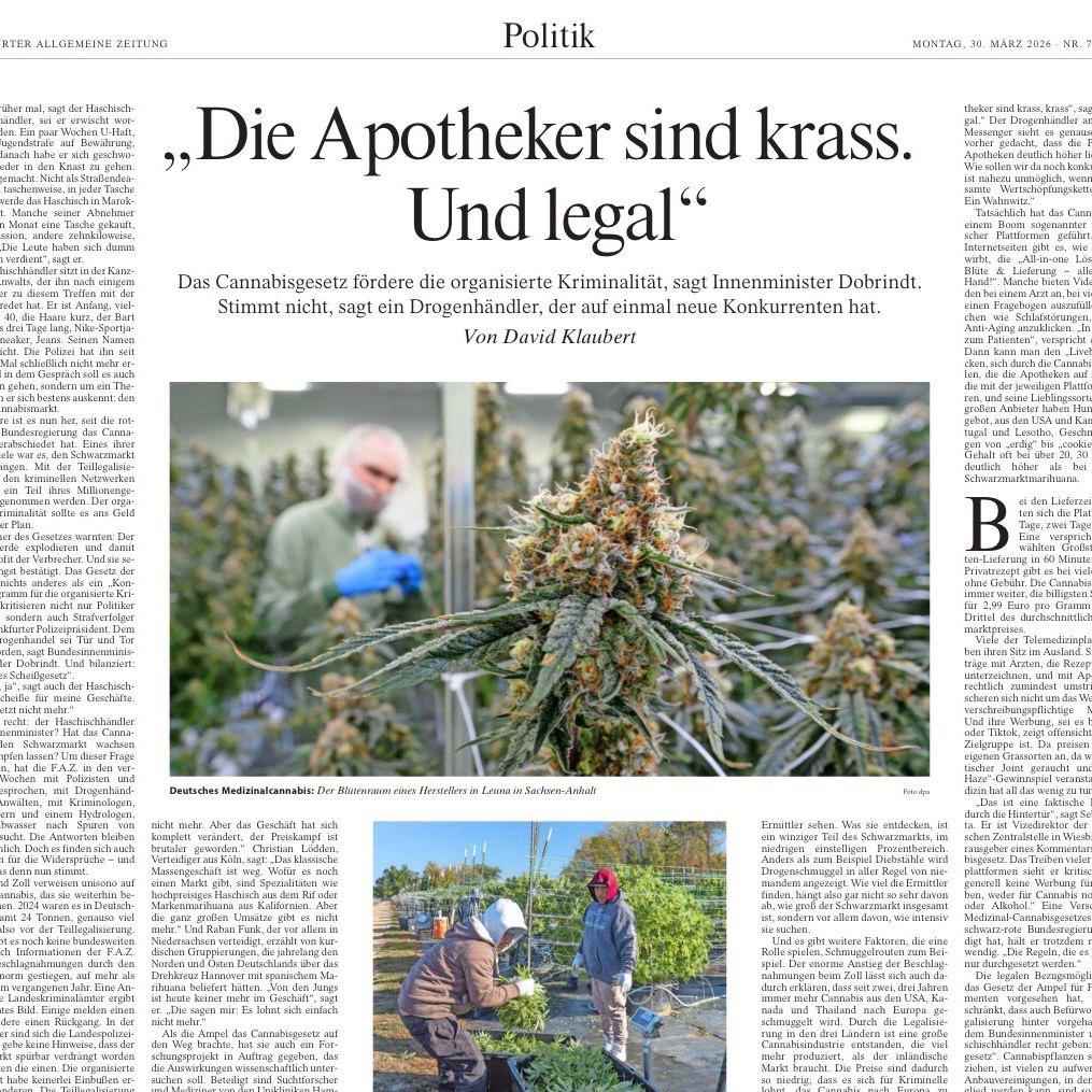 Cannabis, Schwarzmarkt und die Realität: Ein Blick hinter die politische Rhetorik