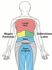 Segmentale Innervation