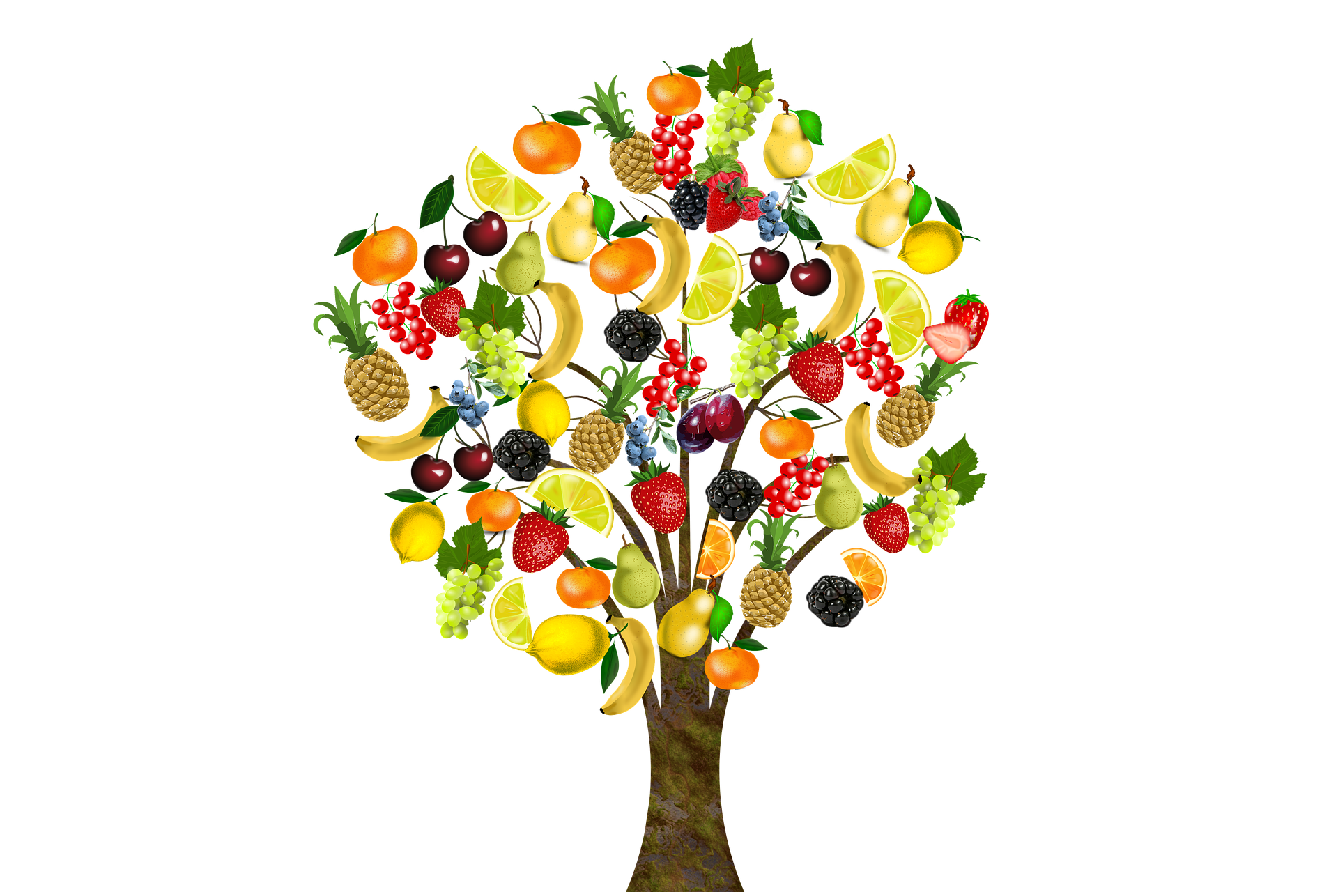 ¿Hacemos dieta o reeducamos los hábitos de alimentación?