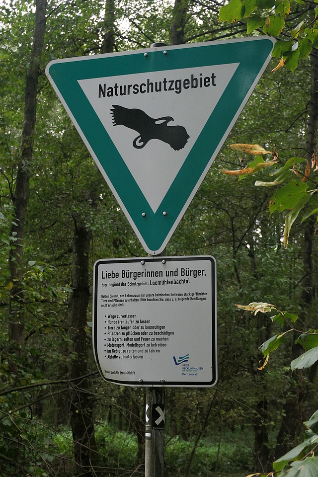 Exkursion Arendbergscher Forst (Matena)