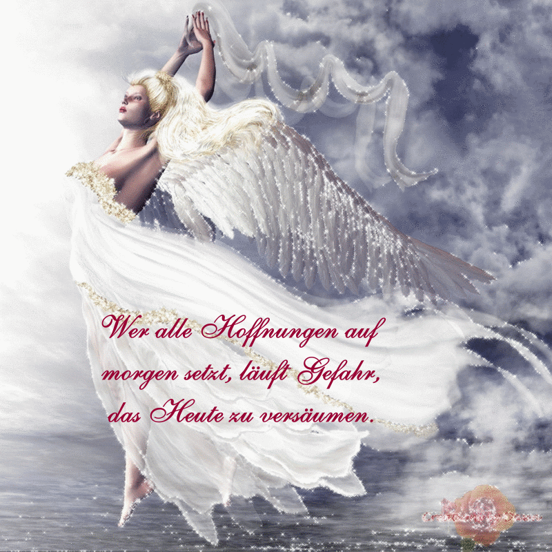 Bilder mit Text Engel, Fantasy, Tiere, Weihnachten, Blumen uvm.