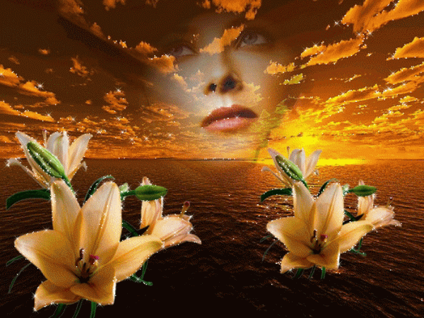 Fantasy 3 Engel Fantasy Tiere Weihnachten Blumen Uvm Blumen und pflanzen aller art auf blumen.de finden sie eine riesige auswahl an schnittblumen und pflanzen aller art. engel fantasy tiere weihnachten