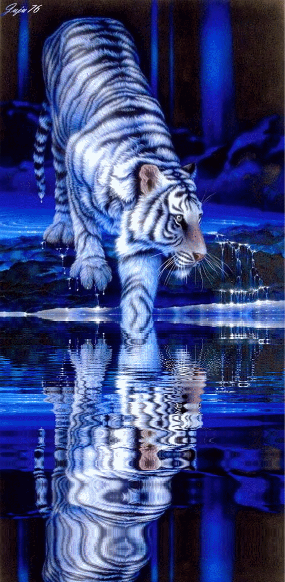 Tiger, Löwen - Engel, Fantasy, Tiere, Weihnachten, Blumen uvm.