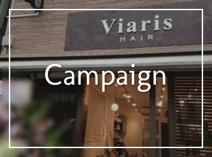 Welcome to Viaris