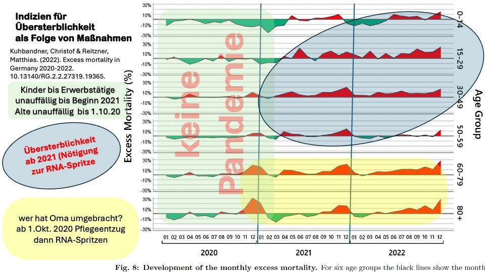 2020 gab es keine epidemiologischen Zeichen einer gefährlichen Virus-Pandemie (RKI-Protokolle, Sterblichkeit, Bettenbelegung, Notfalleinsätze)