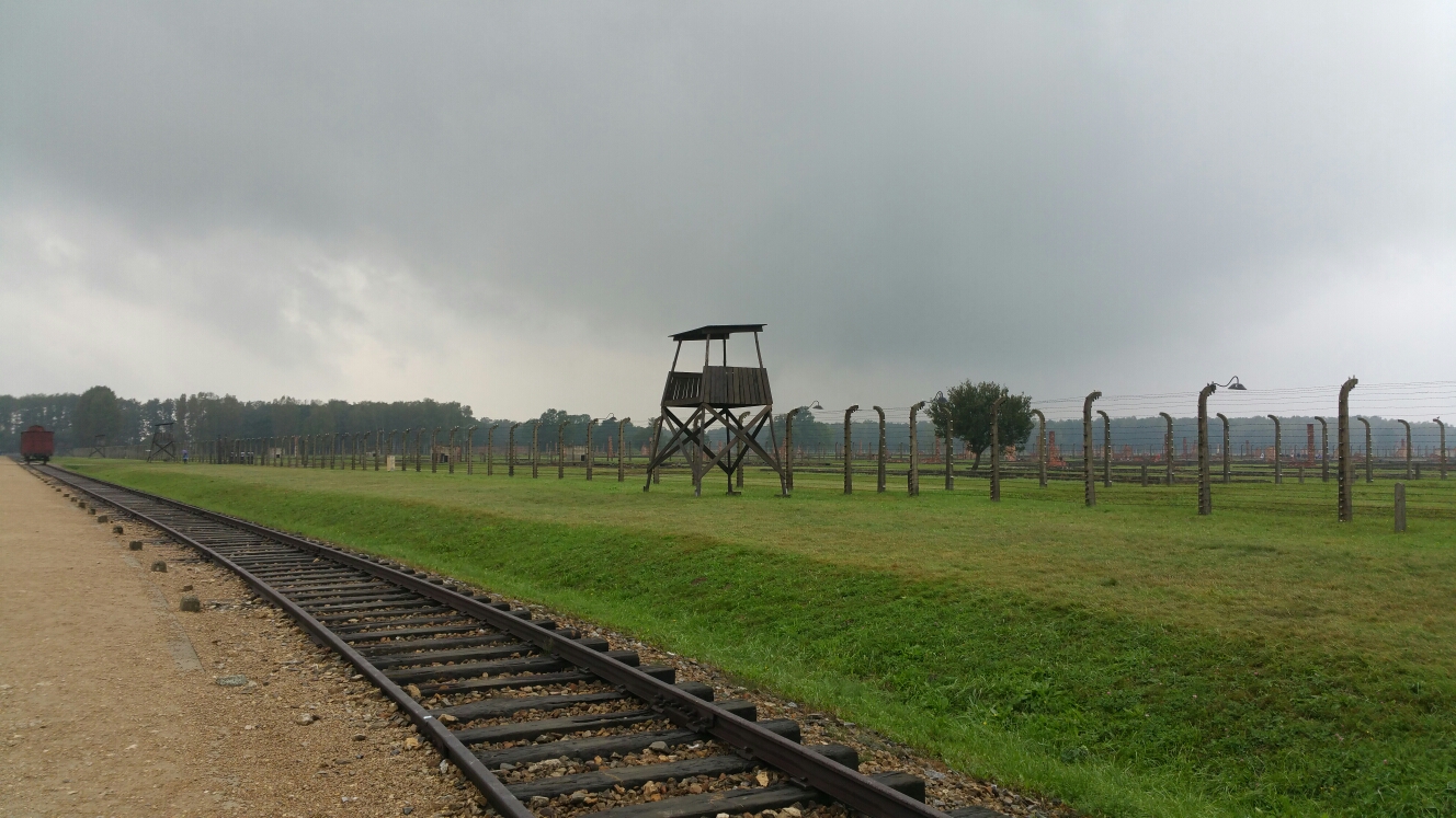 We watched Auschwitz: the Nazis and the Final Solution on Netflix