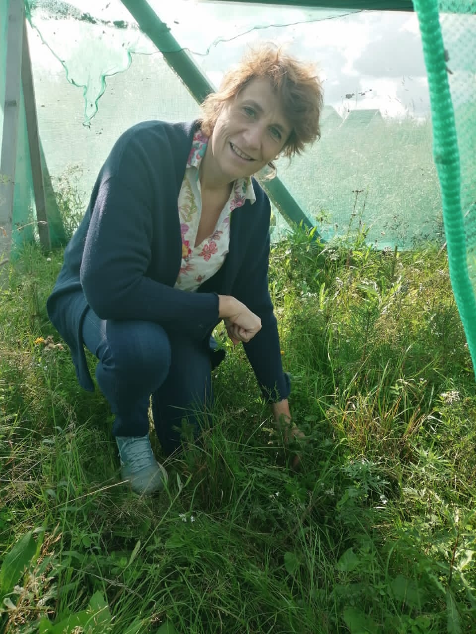 Forêts froides - Savez-vous planter des...arbres ? #3