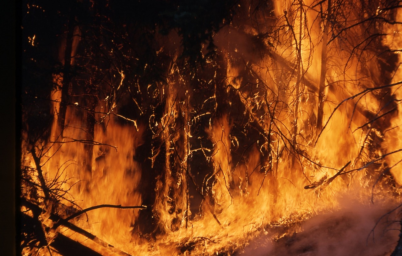 Les incendies se déploient en Sibérie