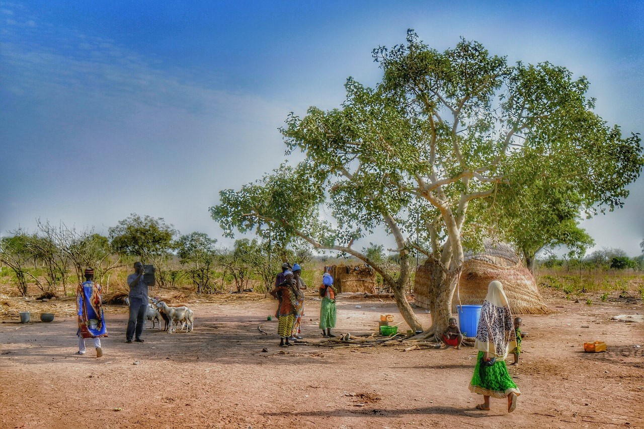 Lutter contre la déforestation en Afrique : les défis de demain