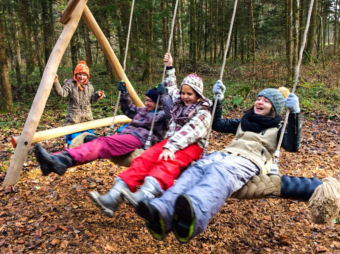Im Wald vom Wald lernen – Natur als Klassenzimmer - ZIS Mattighofen