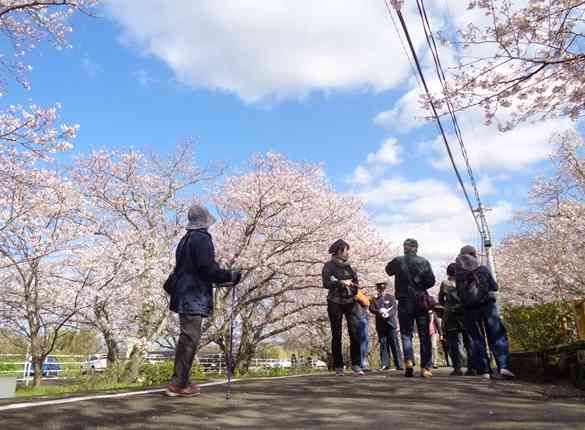 19浦ノ崎駅桜レポート トップページ