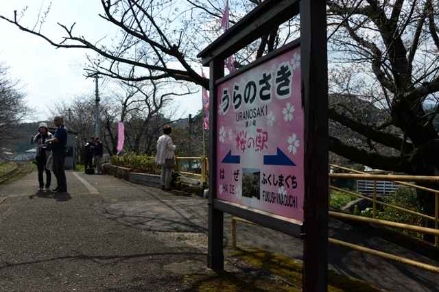 Vol 17 浦ノ崎駅桜まつり トップページ