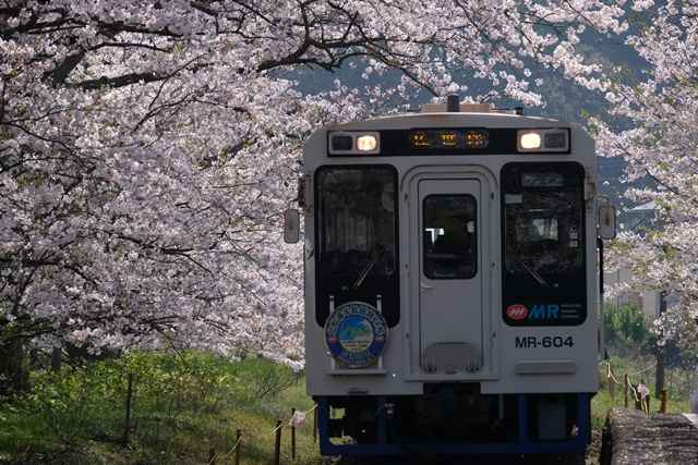 Vol69 浦ノ崎駅桜 19 4 6 トップページ