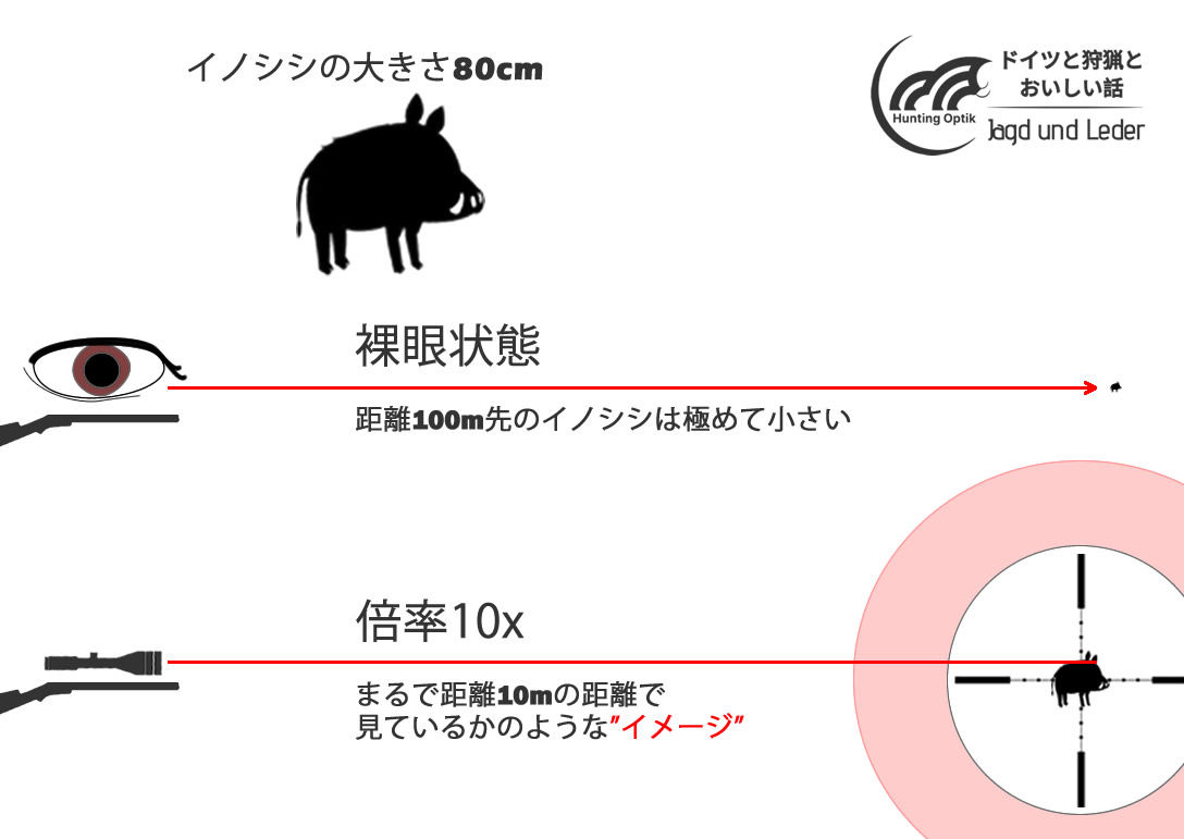 目的に合ったライフルスコープを選択するには。