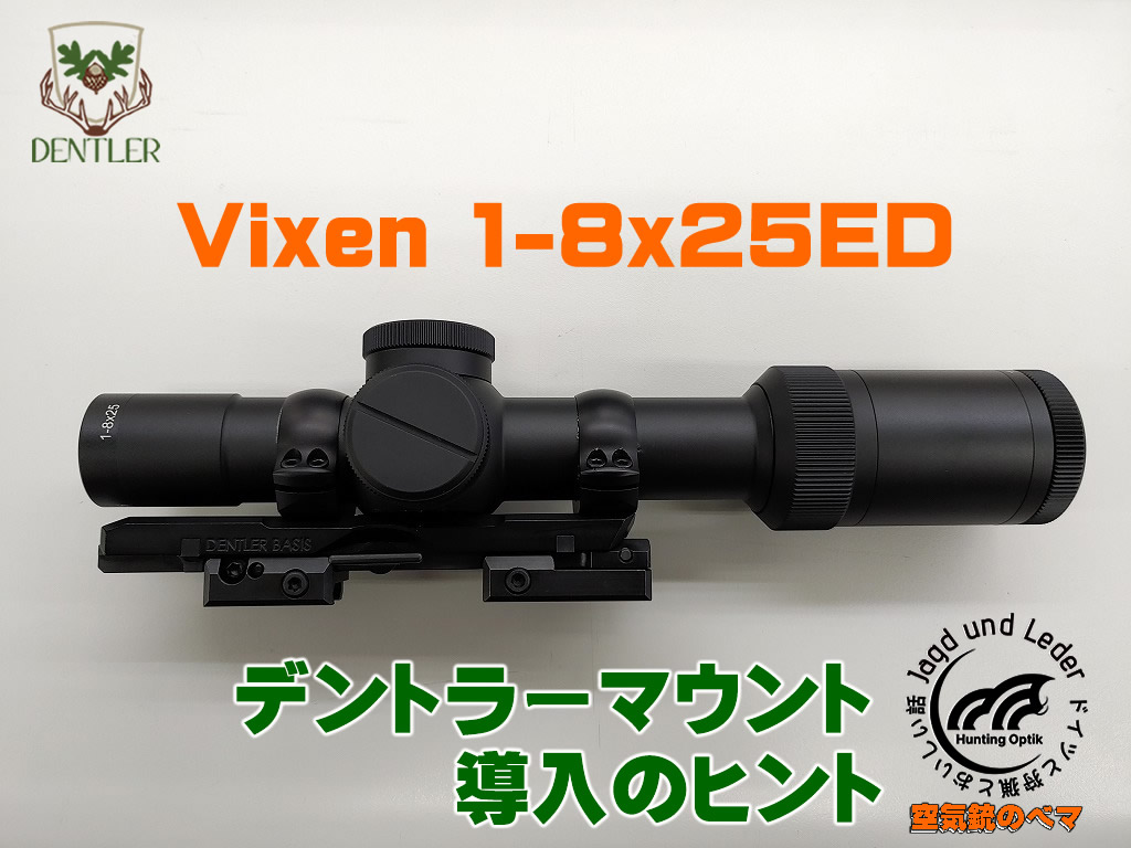 デントラーマウント導入ヒント