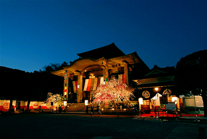 小日向寺基移転三百年記念慶讃法要_夜景-東京 小日向 本法寺-東京都文京区のお墓 永代供養墓 法要-