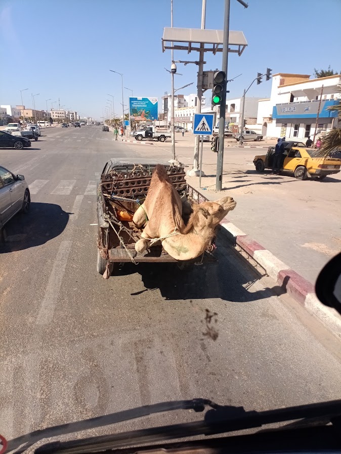  Overlanding, Tour, Mauretanien,Taxi